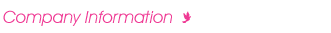Company Information